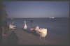 Shark Bay 12 1994