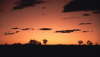 Australien 01 1995