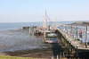BRD 09 2008