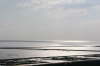 BRD 09 2008