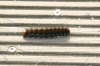 BRD 09 2008