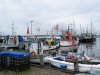Nord - Ostsee 201001