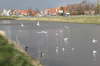 Nordsee 2008